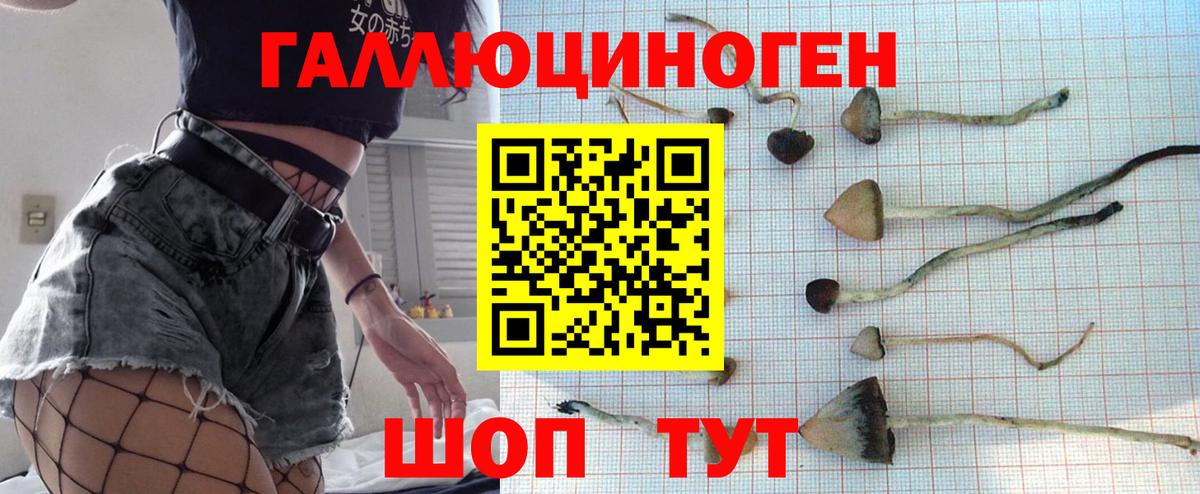 Новокубанск  Псилоцибиновые грибы Psilocybine cubensis  Галлюциногенные грибы ЛСД  Вход с VPN 